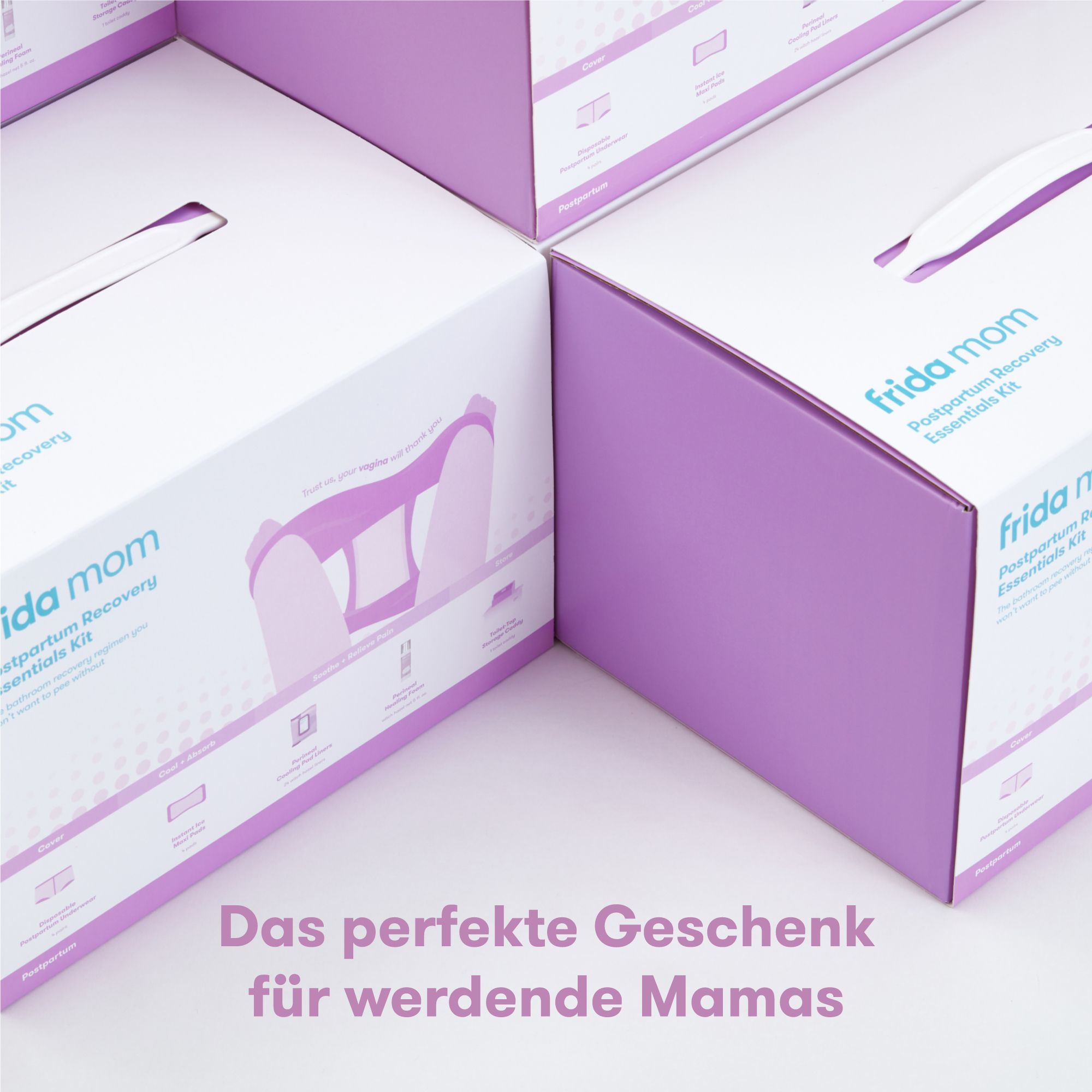Frida Mom Erholungspaket fürs Wochenbett