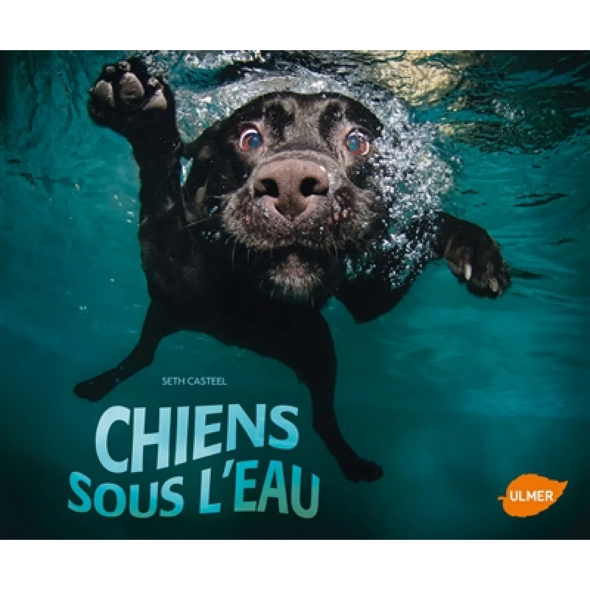 Chiens sous l'eau · Occasion