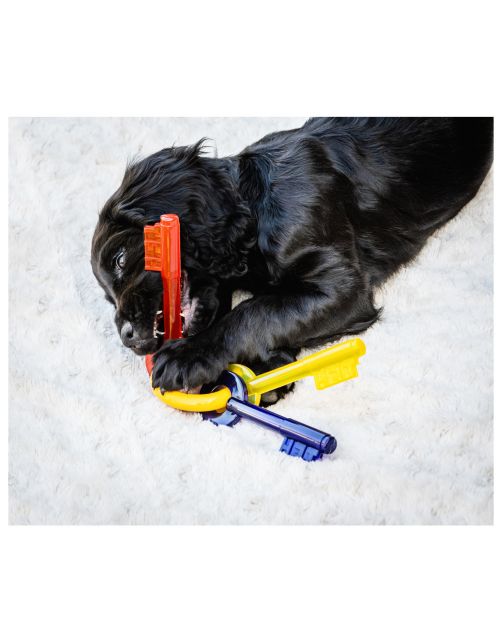 Nylabone Puppy Teething Key Flexible Geel&Blauw&Rood - Hondenspeelgoed