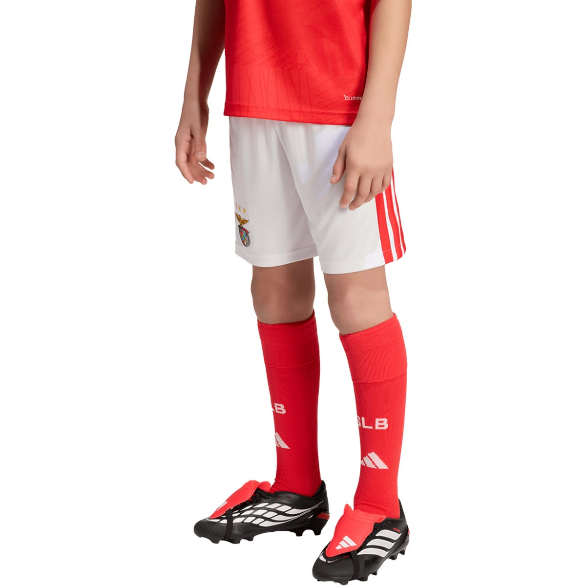 Calções adidas SL Benfica Primeiro equipamento 2026-2027 Criança