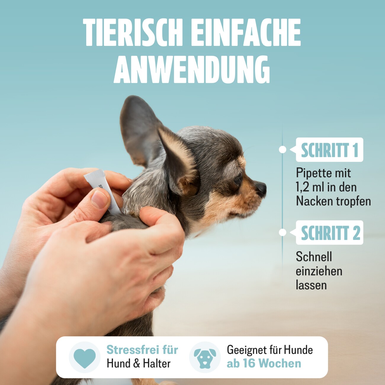 Futum Spot On (6x1,2ml) für Hunde 7 ml