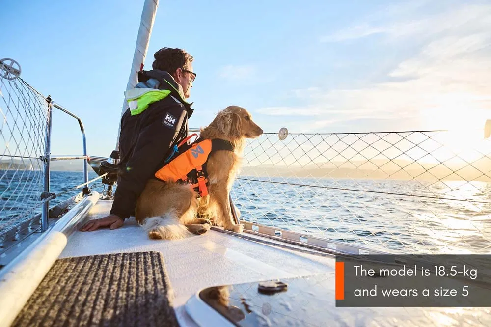 Non-stop Dogwear Protector Life Jacket Size 2-4 Black/Orange