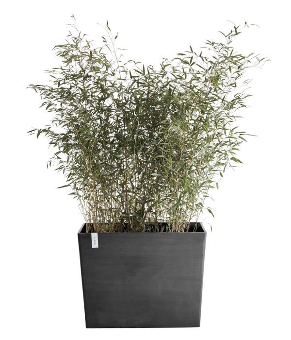 Ecopots Kunststoff-Kasten Paris mit Rollen,