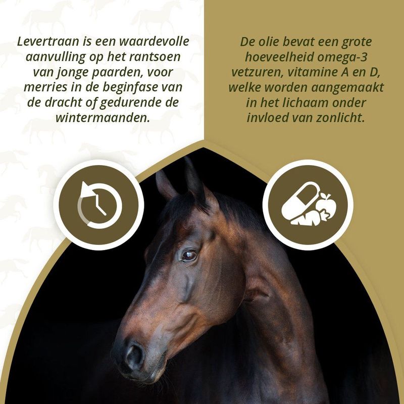 Excellent - Levertraan - Dierensupplement - Natuurlijke Olie
