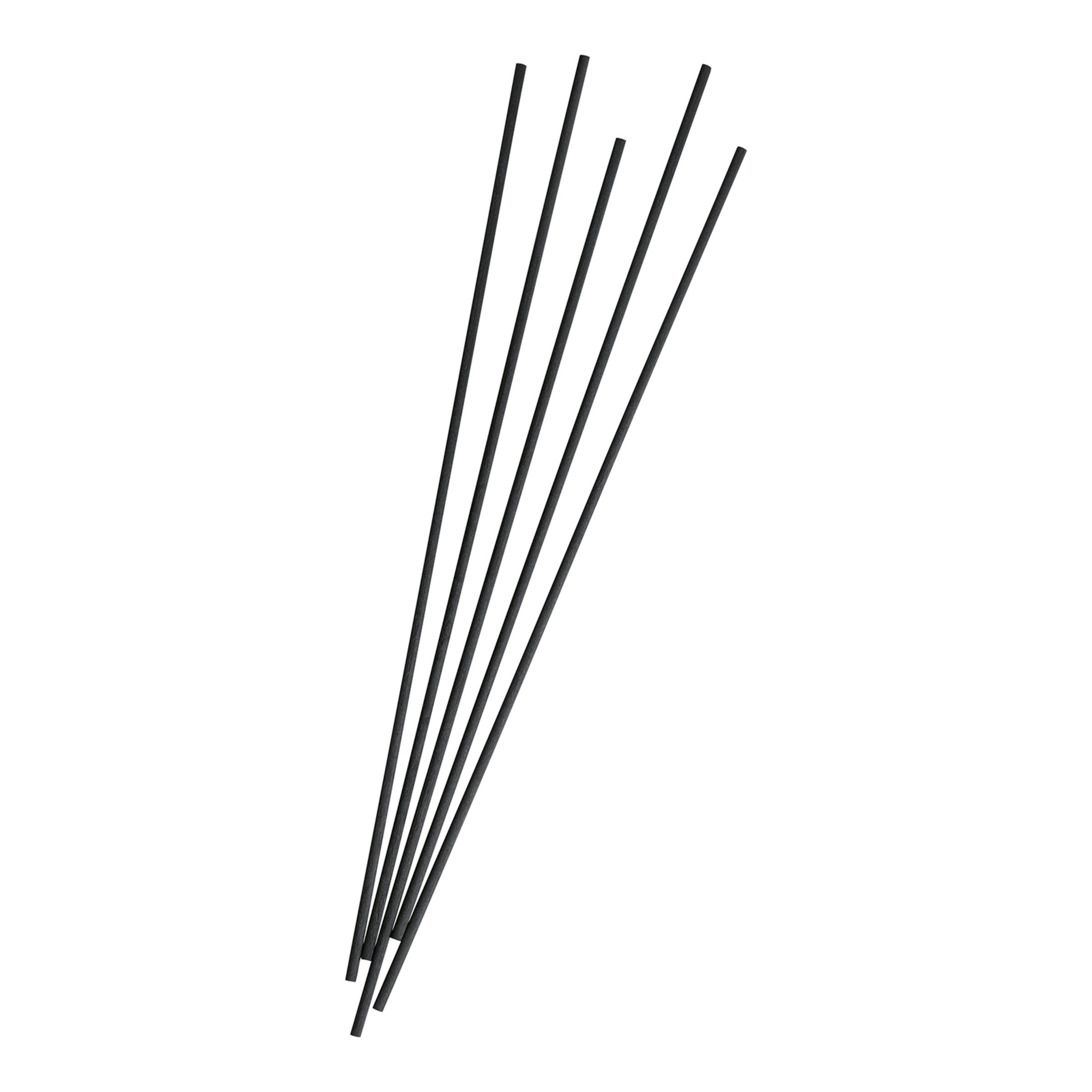 schwarz, L 29 x ⌀ 0,35 cm, 5 Stück