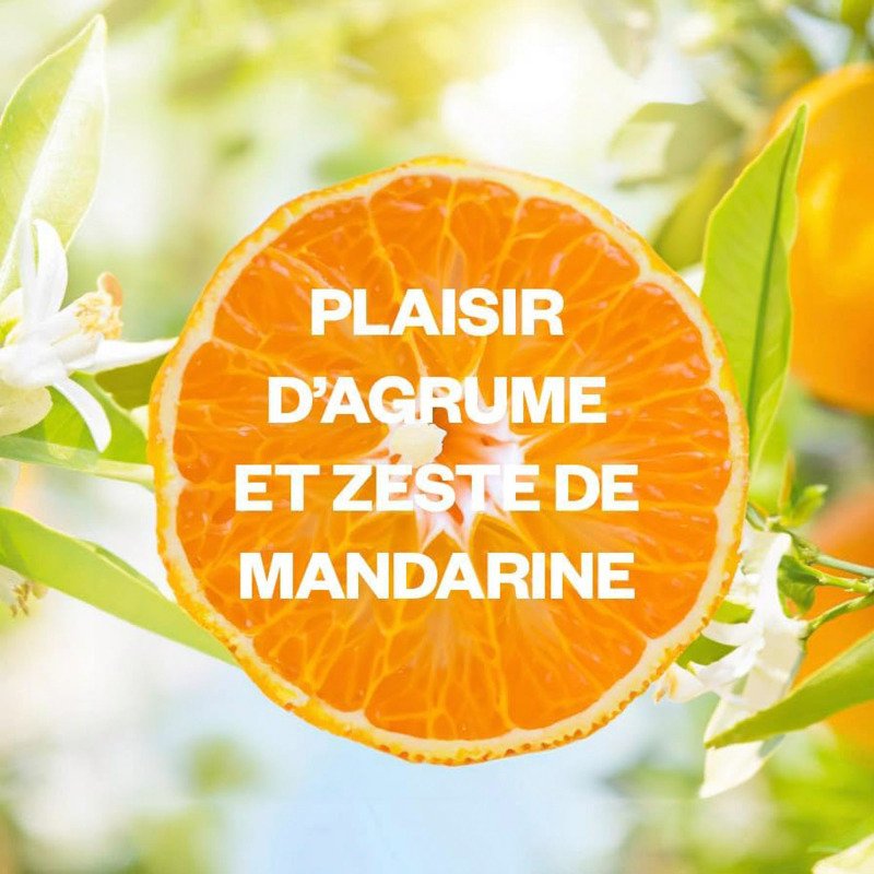 Recharge Air Wick Freshmatic Plaisir d'agrume et zeste de mandarine pour diffuseur - 250 ml