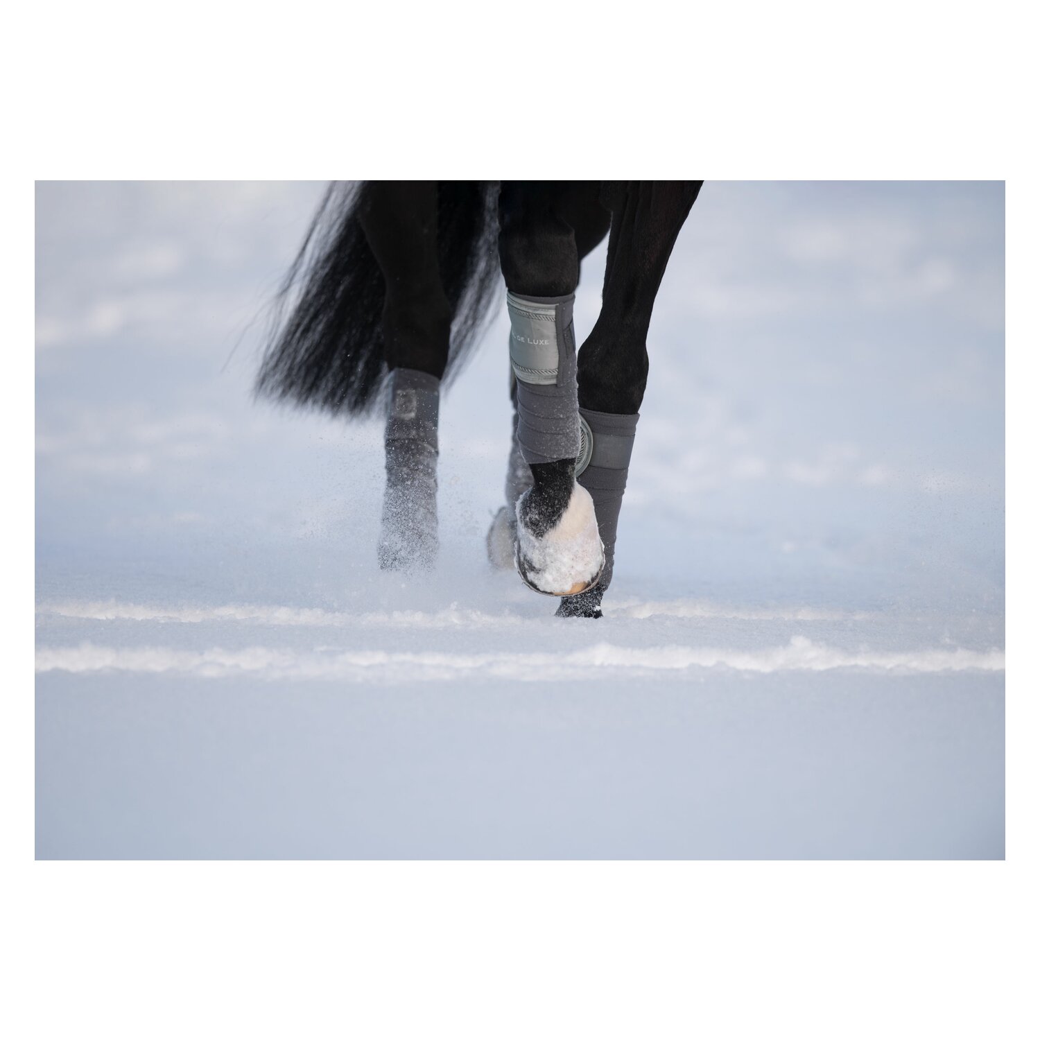 Cheval de Luxe Fleecebandagen Kuopio  - silvergrey - Warmblut