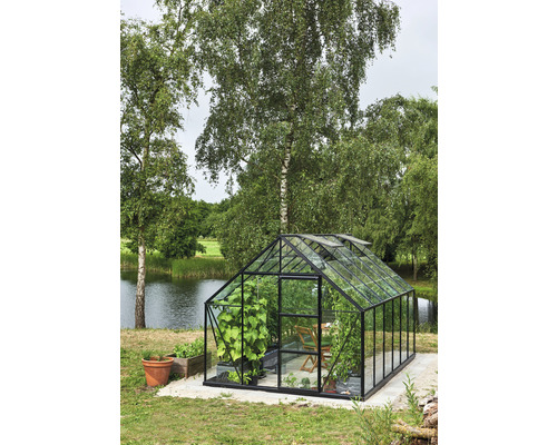 Kas Hallen Universal 128 9,9 m² Helder glas 3 mm 257 x 384 cm zwart