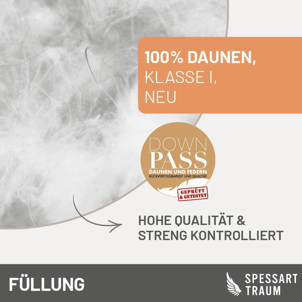 Daunendecke 135x200 cm Winter extra warm | 100% Daunen | 840g Füllgewicht | Allergiker geeignet (Nomite) | Oeko-TEX | Made in Germany