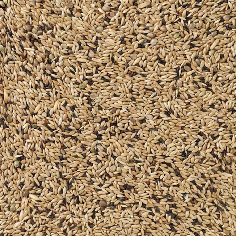 Deli Nature Kanarie Light Nummer 6520 kg