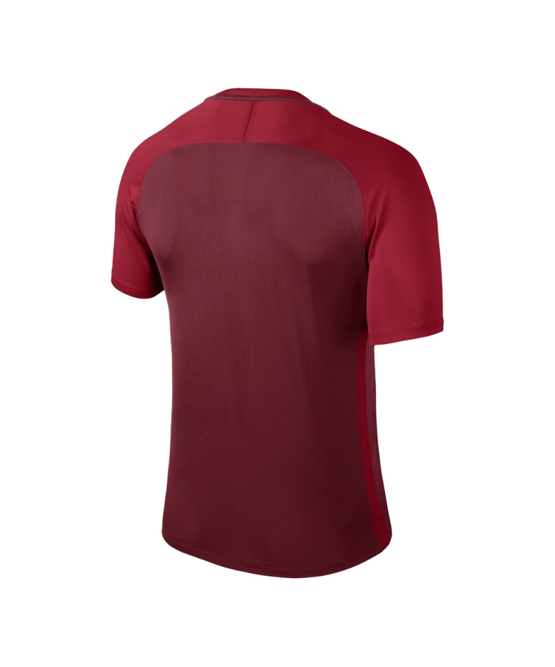 Nike Trophy III Dry Team Trikot kurzarm Kids F677