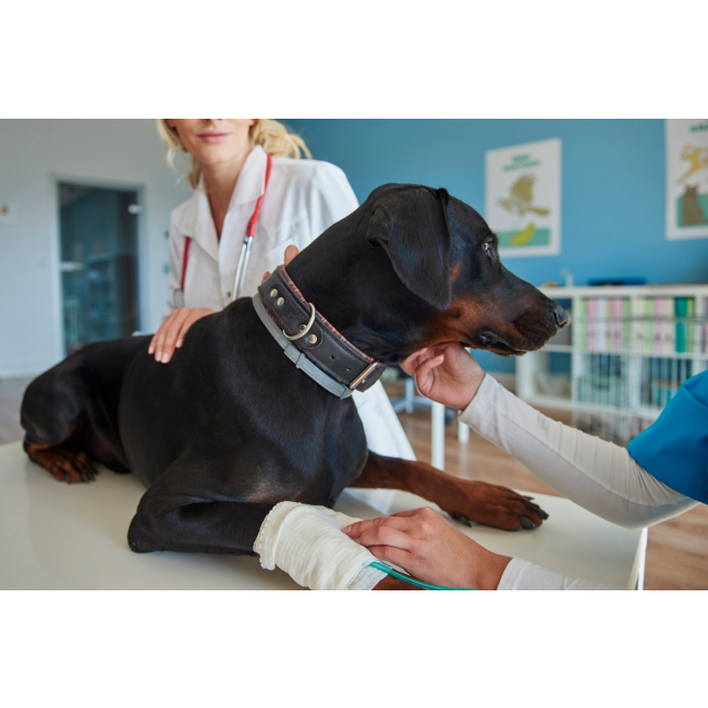 Brit Vet Ultra-Hypoallergenic pour chiens
