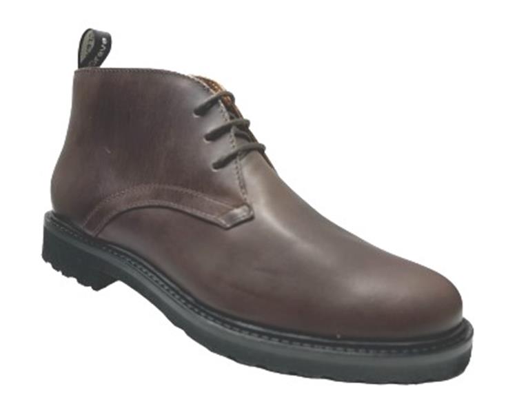 Greve 5570.01 Bruin