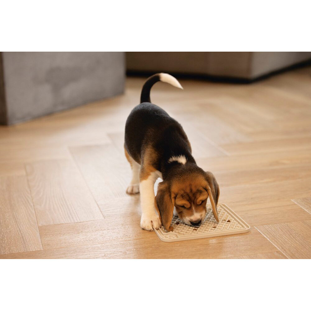 Beeztees Puppy Likmat Diza