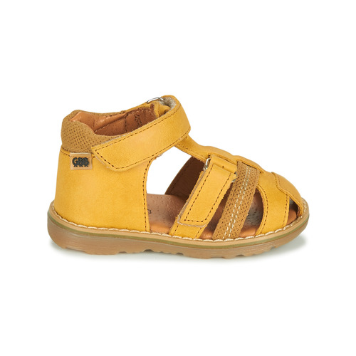 GBB - MITRI - Jaune