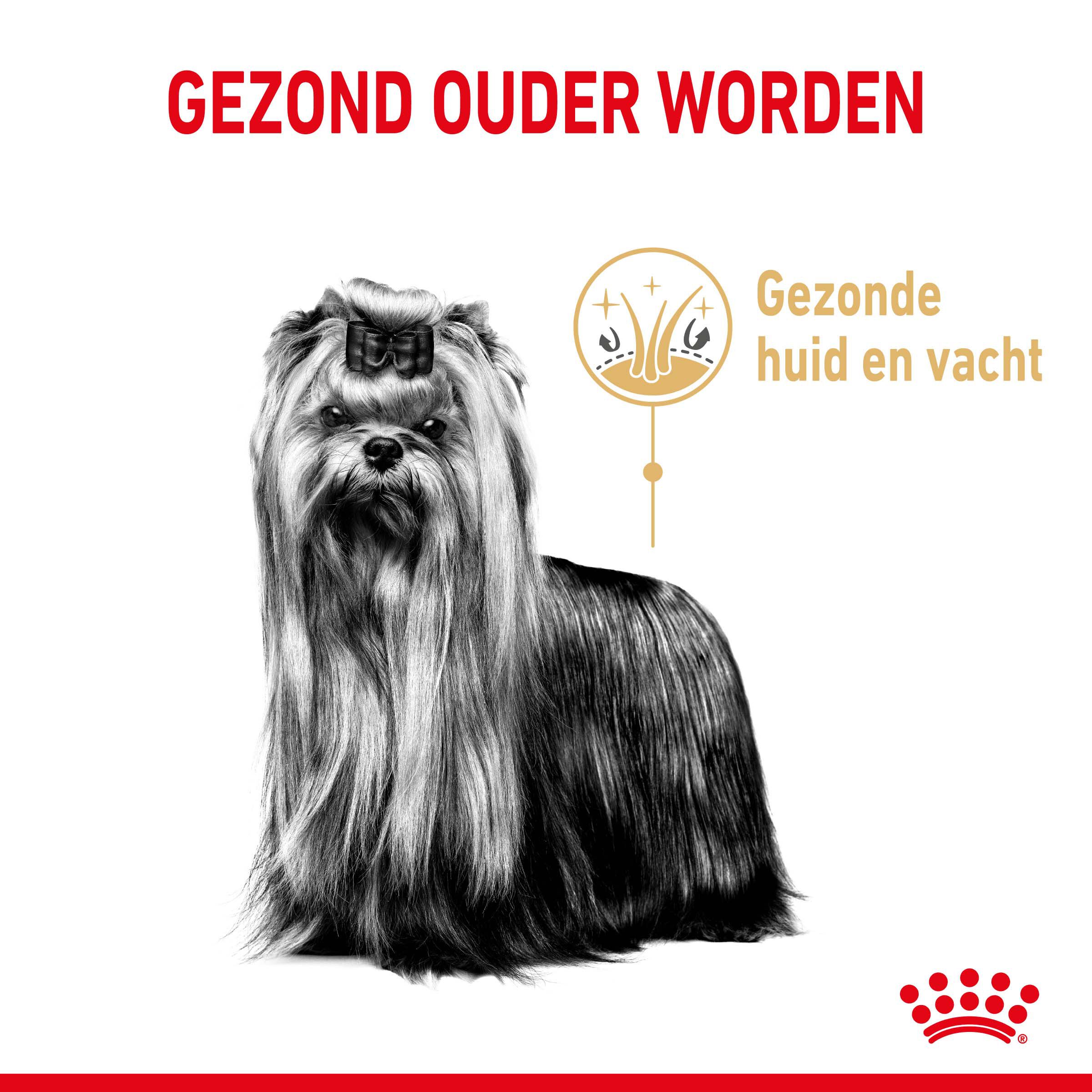 ROYAL CANIN® Adult 8  Yorkshire Terriër  - Hondenvoer - 3 Kilogram - gevogelte