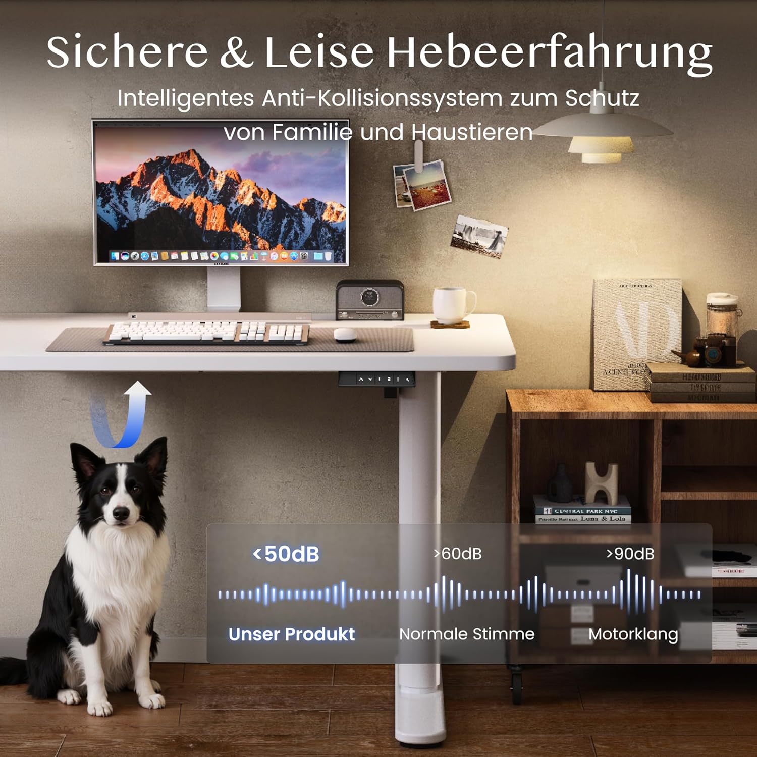 FLEXISPOT Höhenverstellbarer Schreibtisch mit runden Tischbeinen – ästhetischer Sitz-Steh-Arbeitsplatz mit ausgewogenen Proportionen und ruhiger Präsenz, 100×60 cm (Weiß + Weiß)