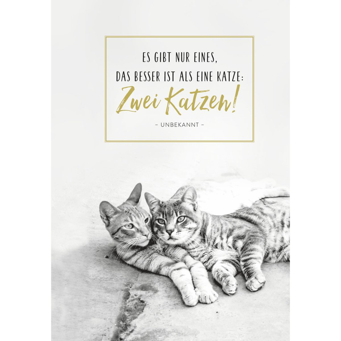 Taschenkalender - Für Katzenfreunde - 2024