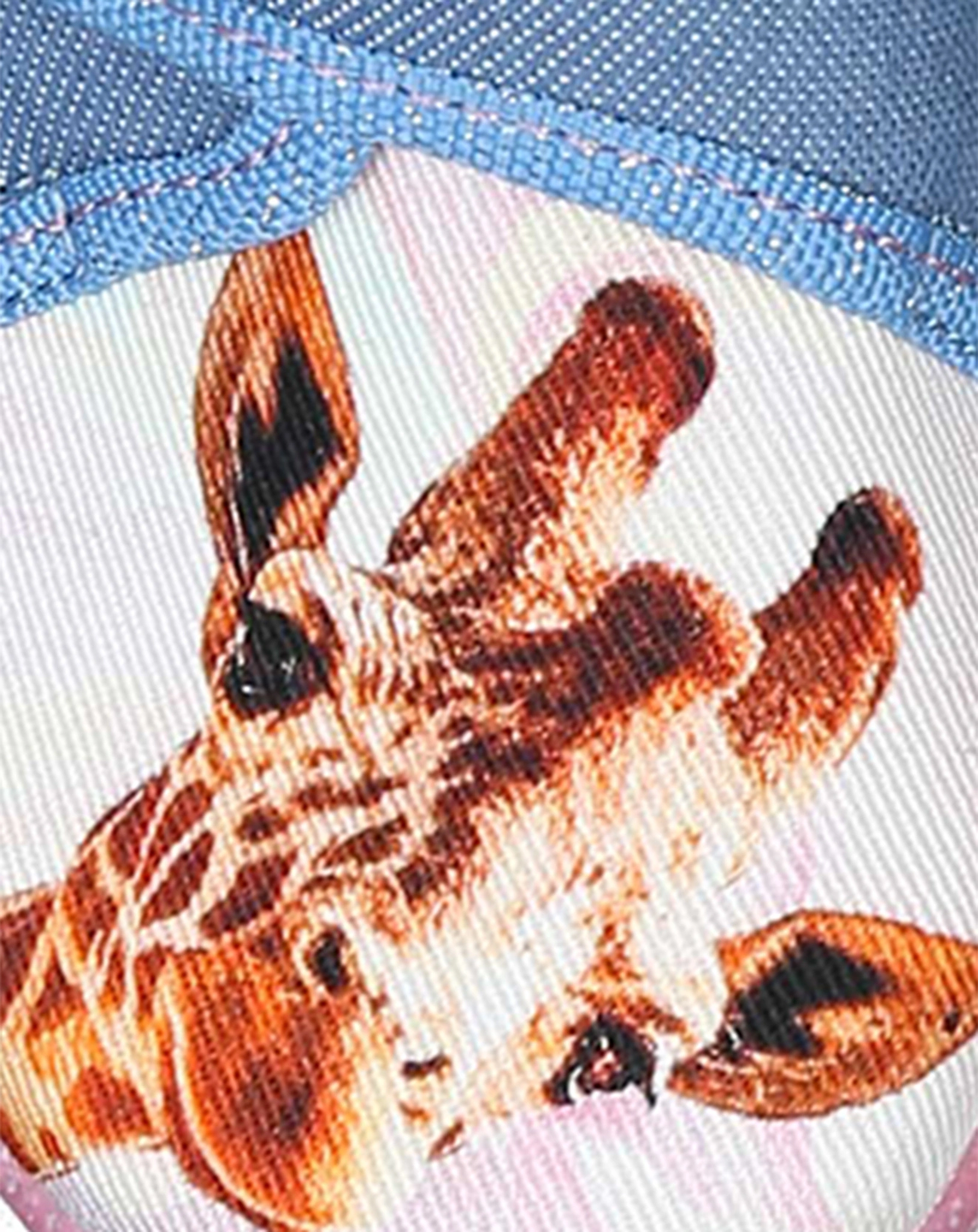 Klett-Hausschuhe GIRAFFE in hellblau/pink