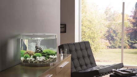 biOrb Tube 35 MCR Wit  | Aquarium