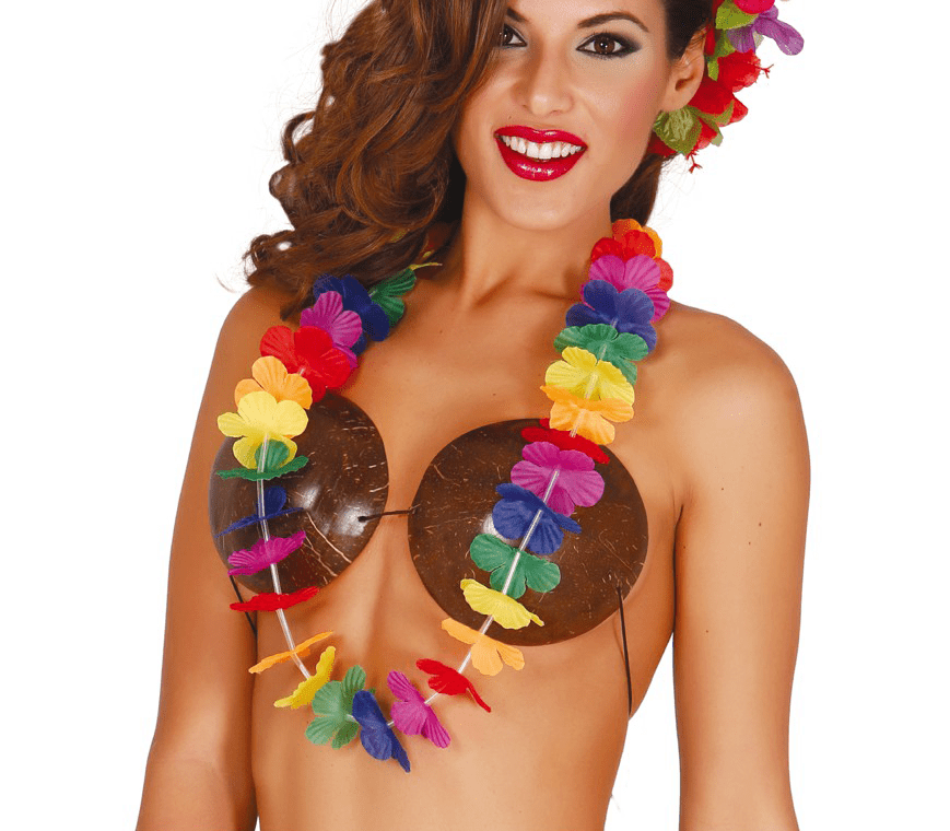 Hawaii Ketting Gekleurd 50cm