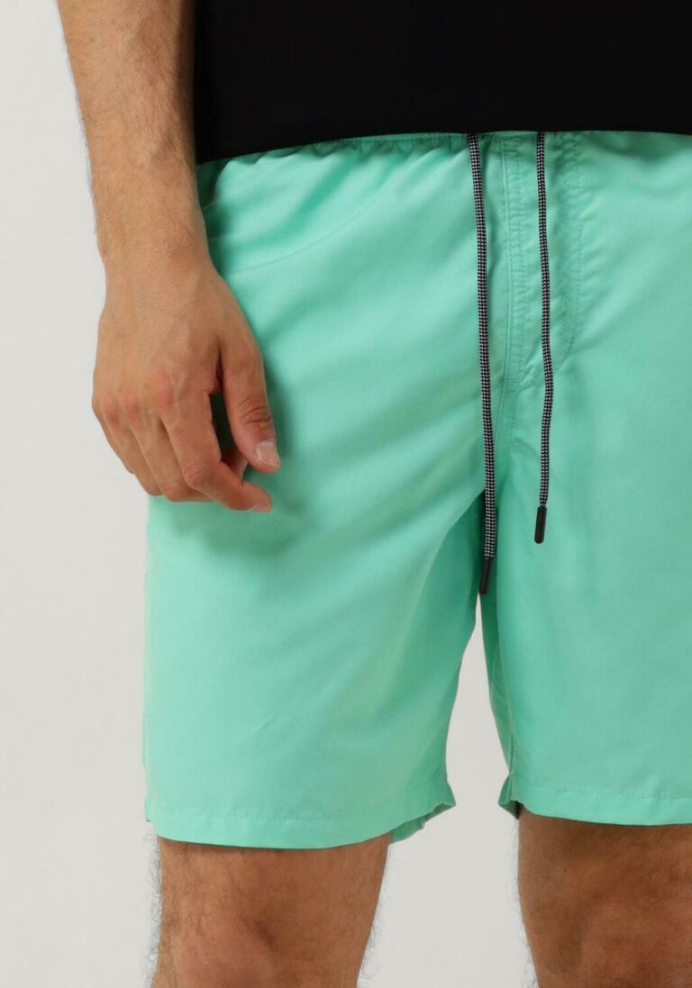 SHIWI turquoise shiwi  men swimshorts mike