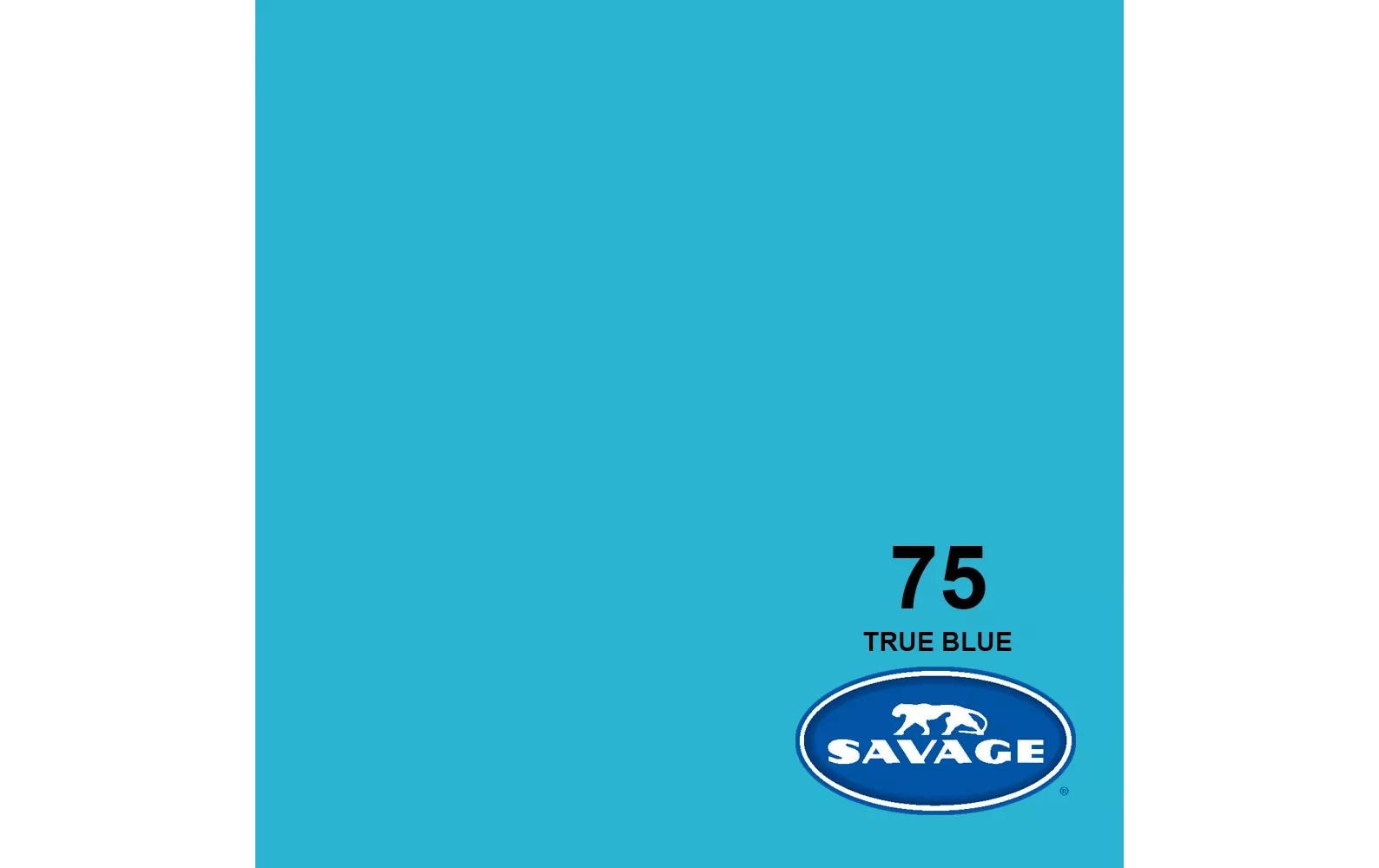 Hintergrund Papier 2.72 x 11m True Blue<br>Das Hintergrundpapier von Savage
