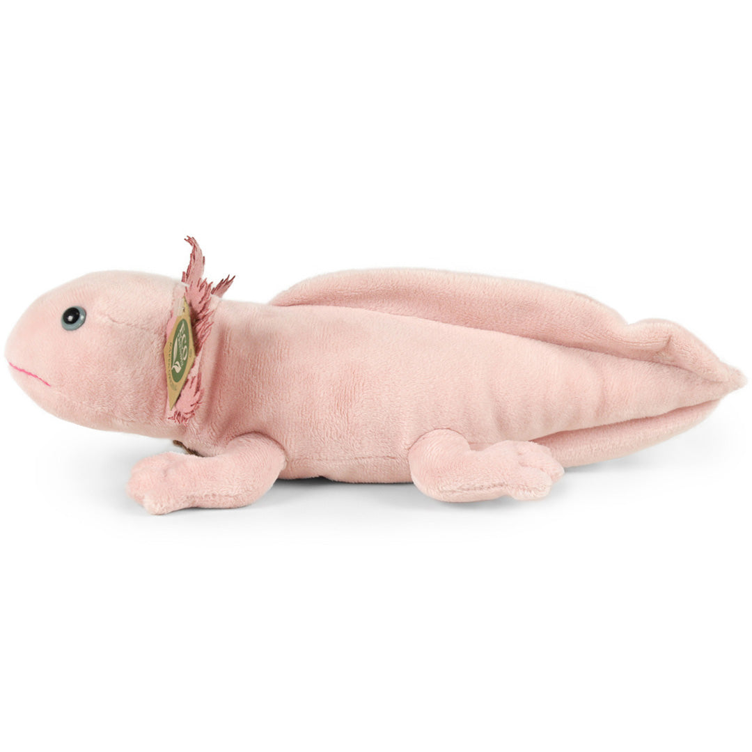 rappa knuffelaxolotl - 33 cm