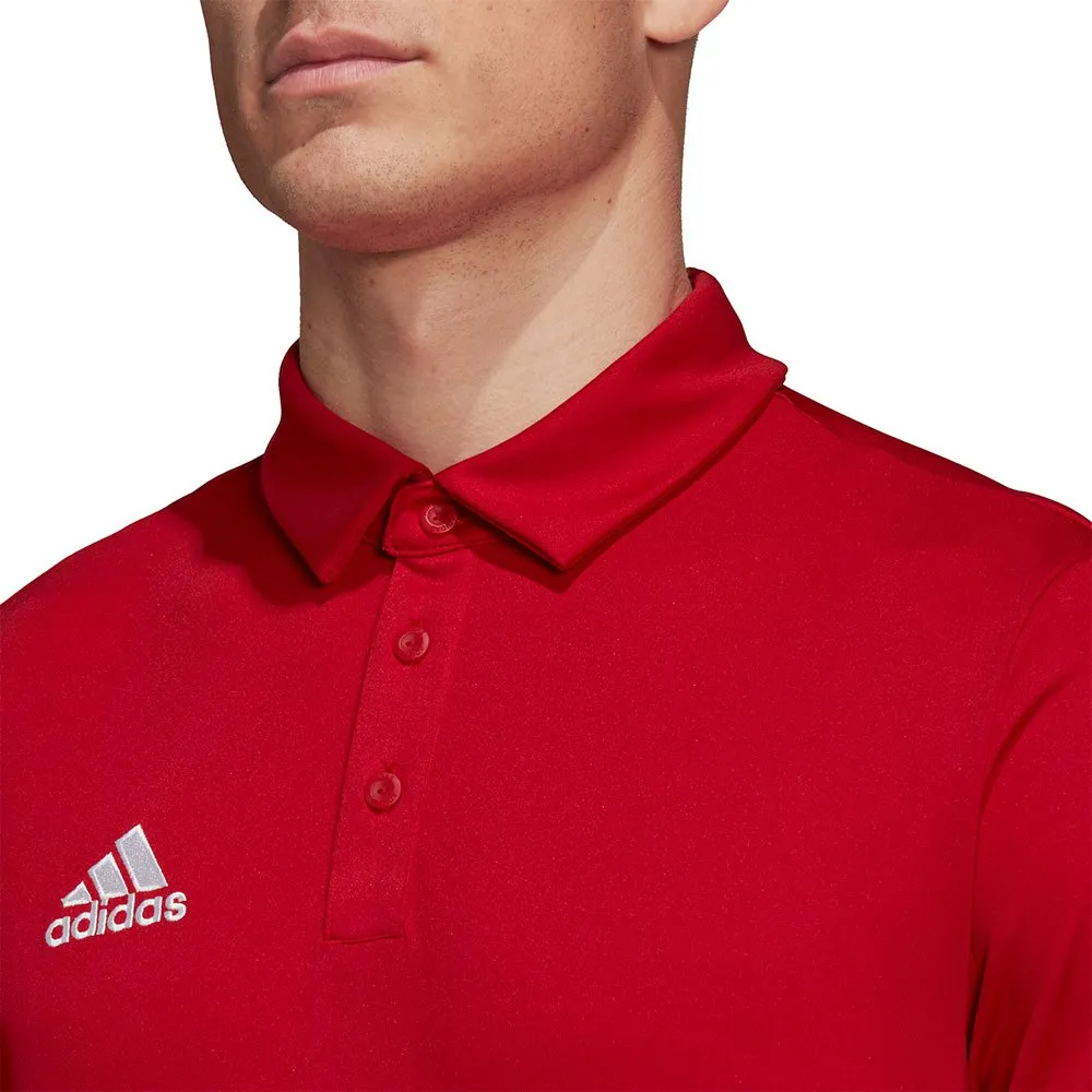 Camisa polo de manga curta adidas Entrada 22