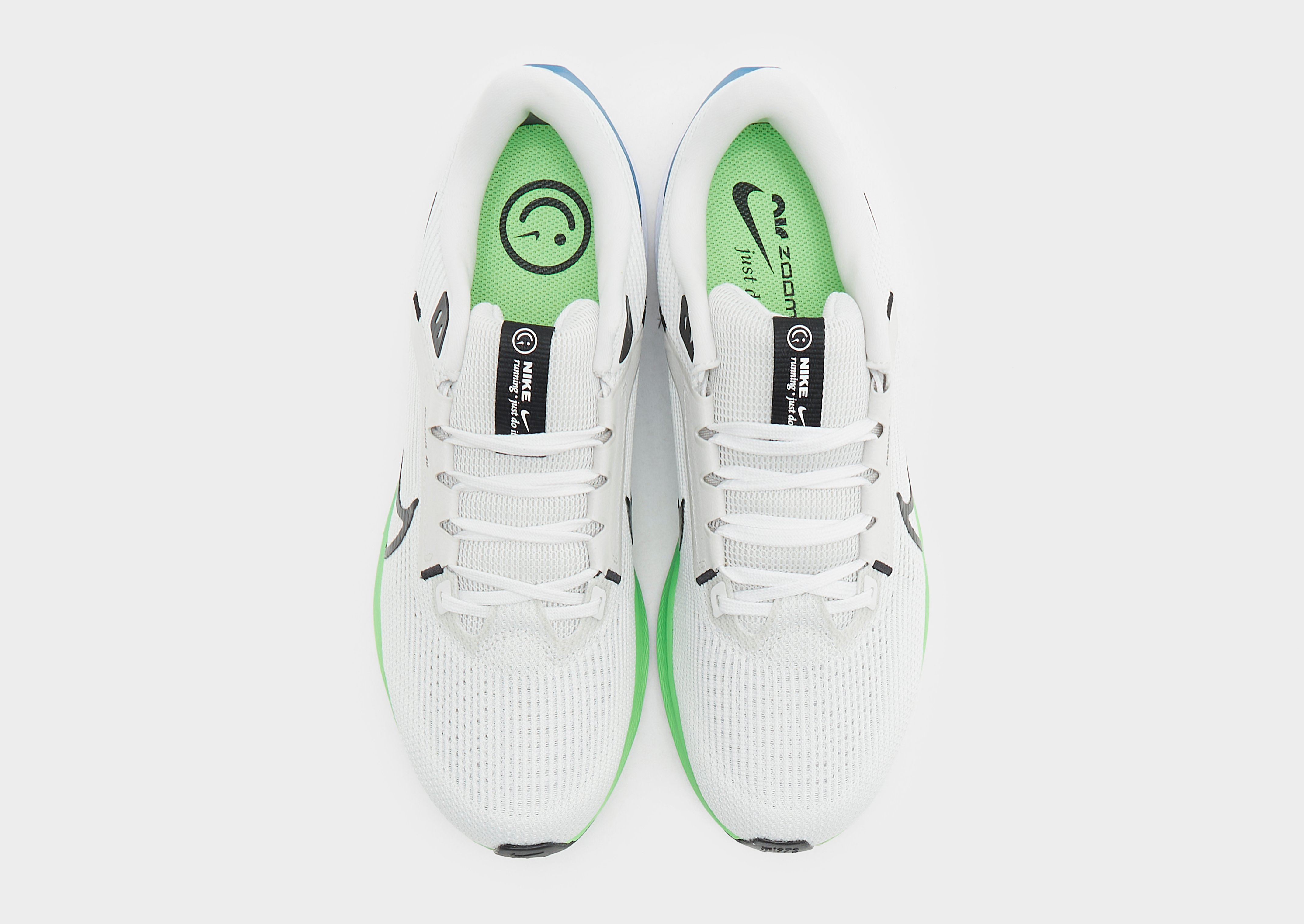 Nike Pegasus 40 Homme