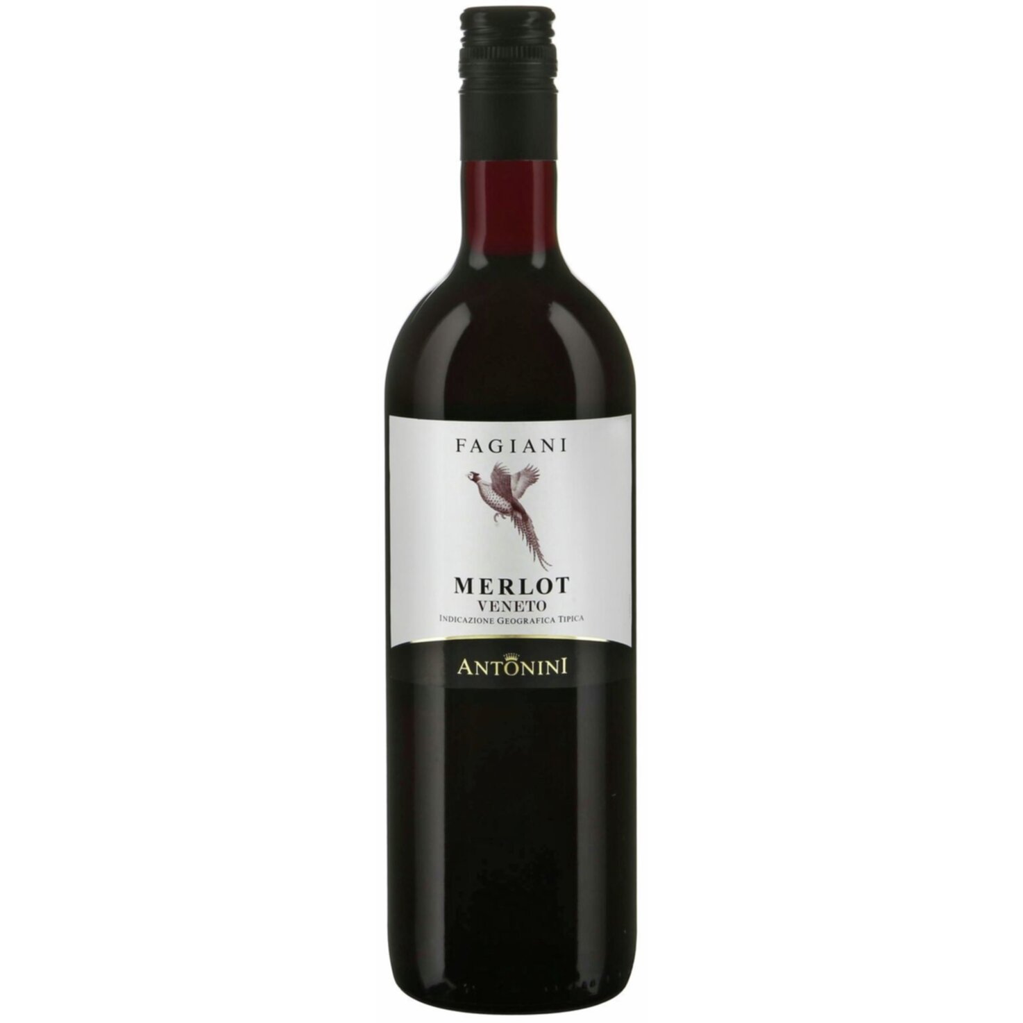 Merlot Veneto Fagiani Antonini -75cl