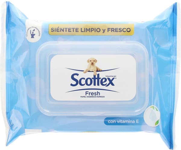 Moist Wipes Original Scottex (74 uds)