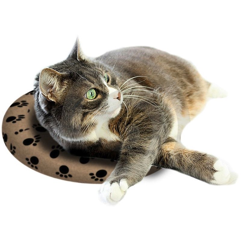Lot coussin chauffant & housse en tissu SnuggleSafe à prix discount sur bitiba.fr