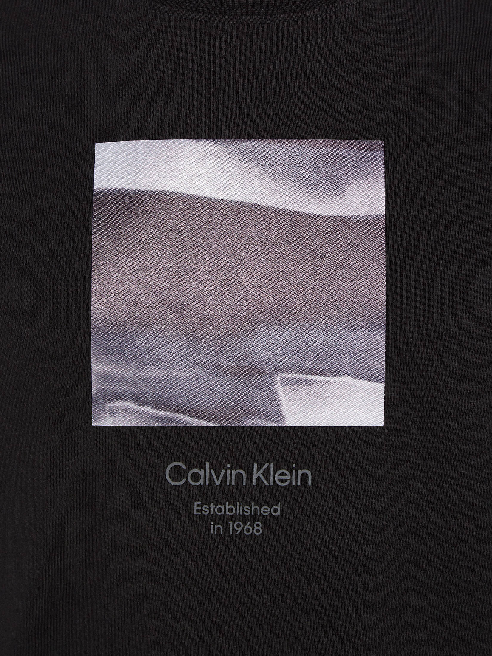 CALVIN KLEIN| Herren T-Shirt