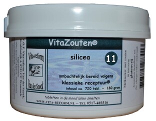 Vita Reform Van der Snoek Vitazouten Nr. 11 Silicea 720TB