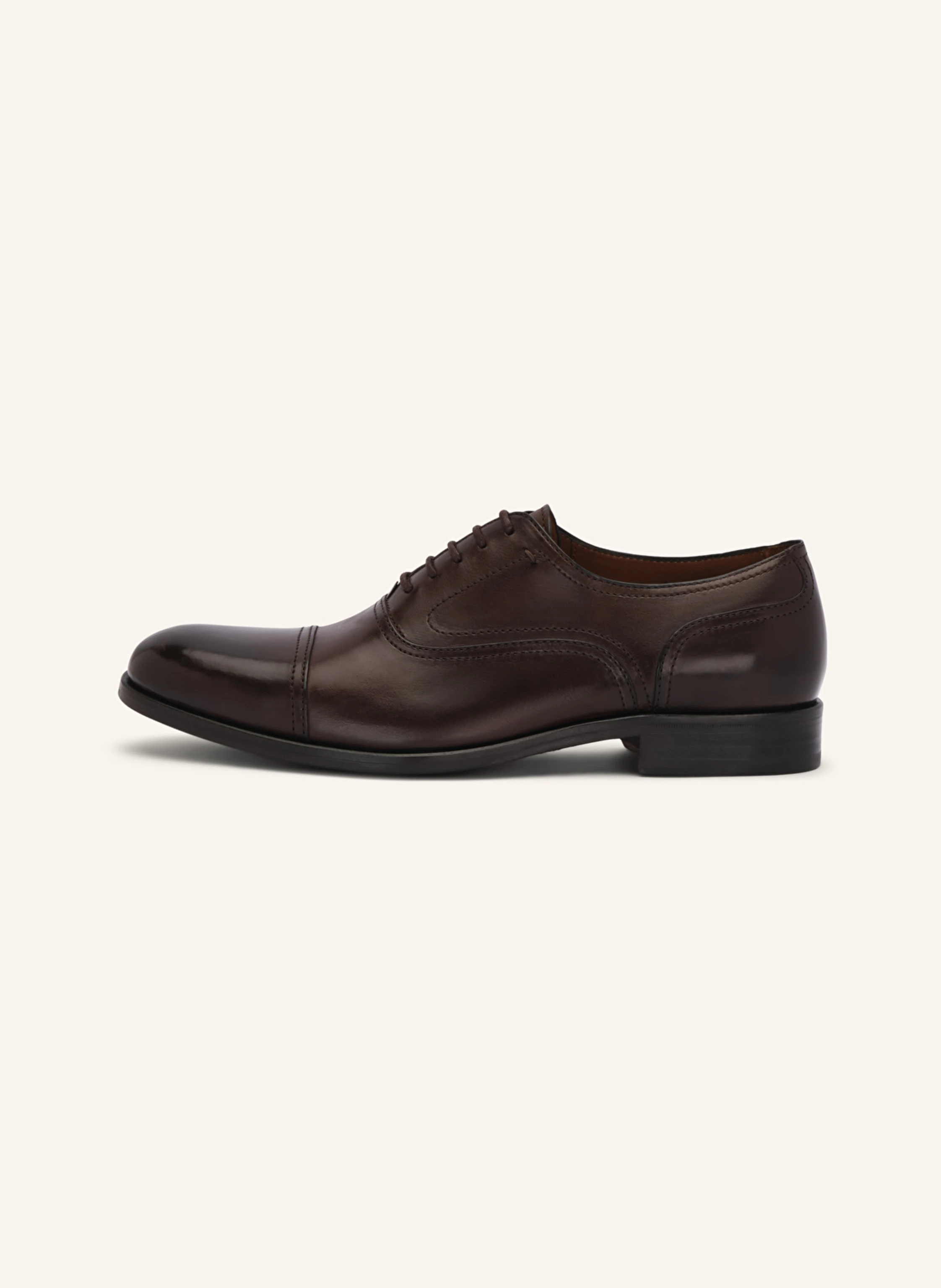 LOTTUSSE Oxford LUTTON