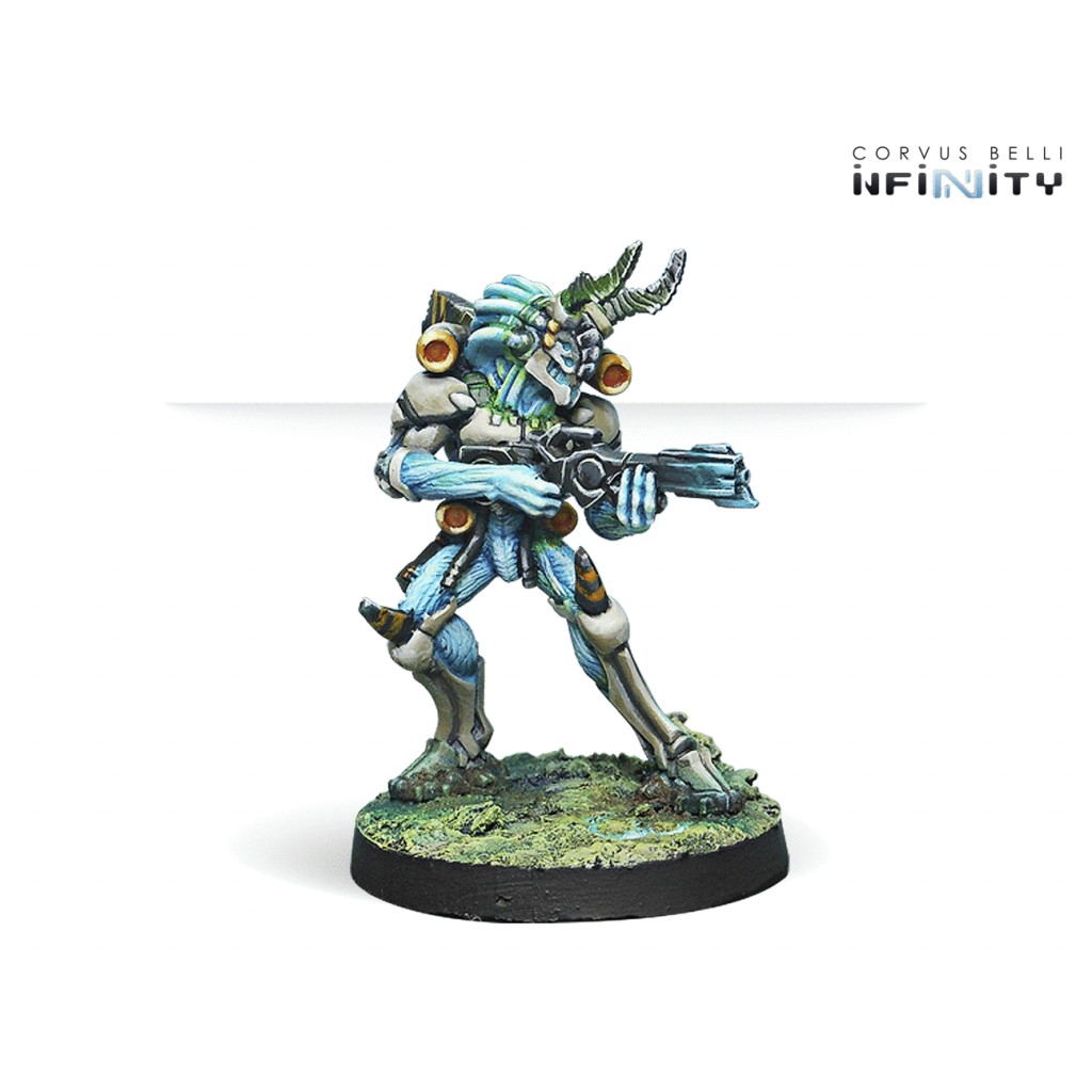 Infinity - Tohaa - Kaauri Sentinels