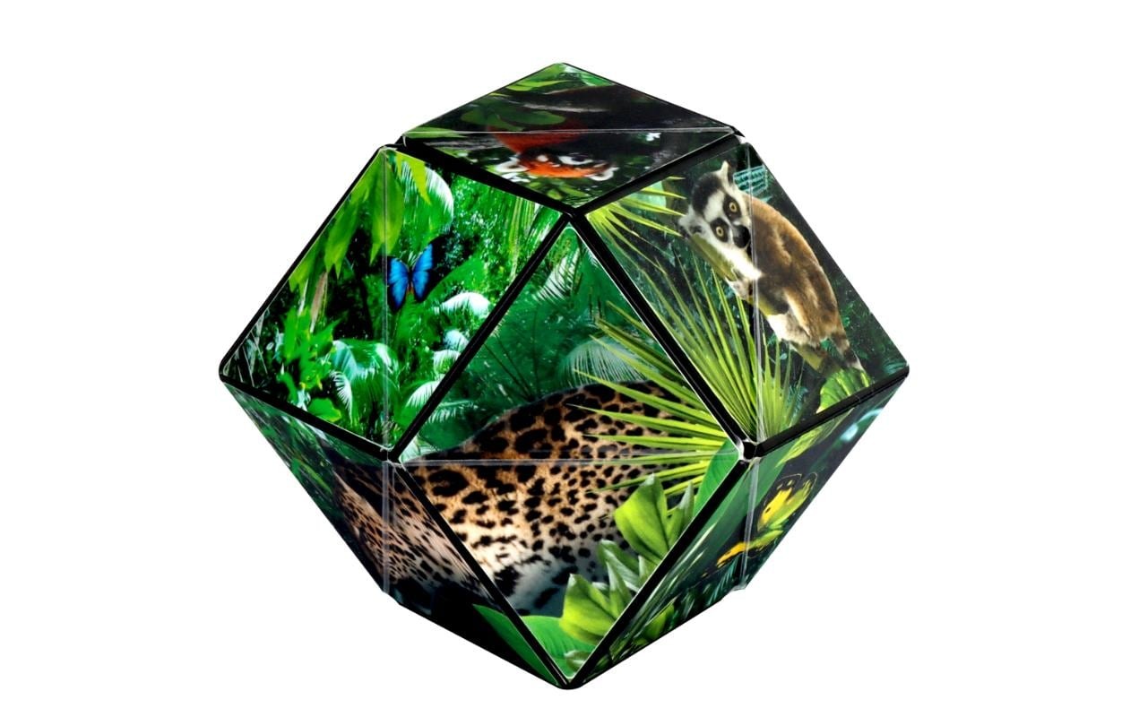 3D-Puzzle »Shashibo Cube Jungle«