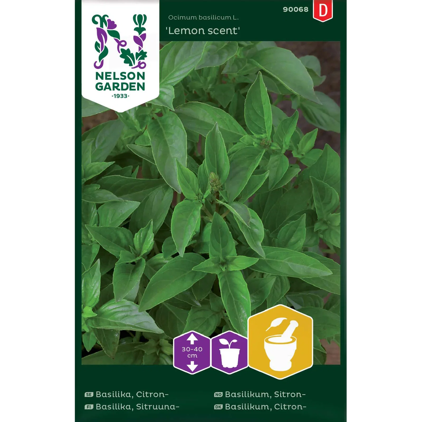 Ocimum basilicum 'Lemon scent' Sitronbasilikum 'Lemon scent'