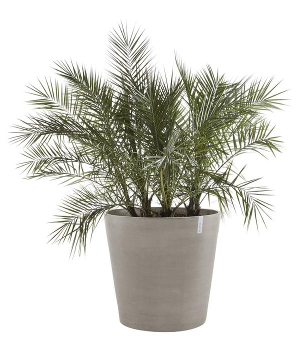 Ecopots Kunststoff-Topf Amsterdam mit Rollen,