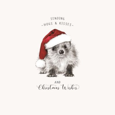 Christmas Wishes Hedgehog