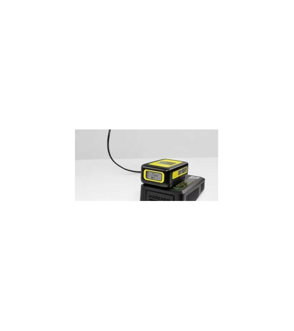 Ltr 36-33 battery coupe-bordure sans fil