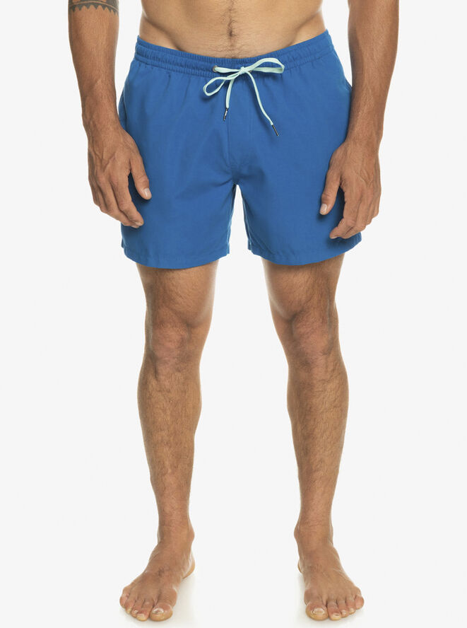 Quiksilver Everyday 15