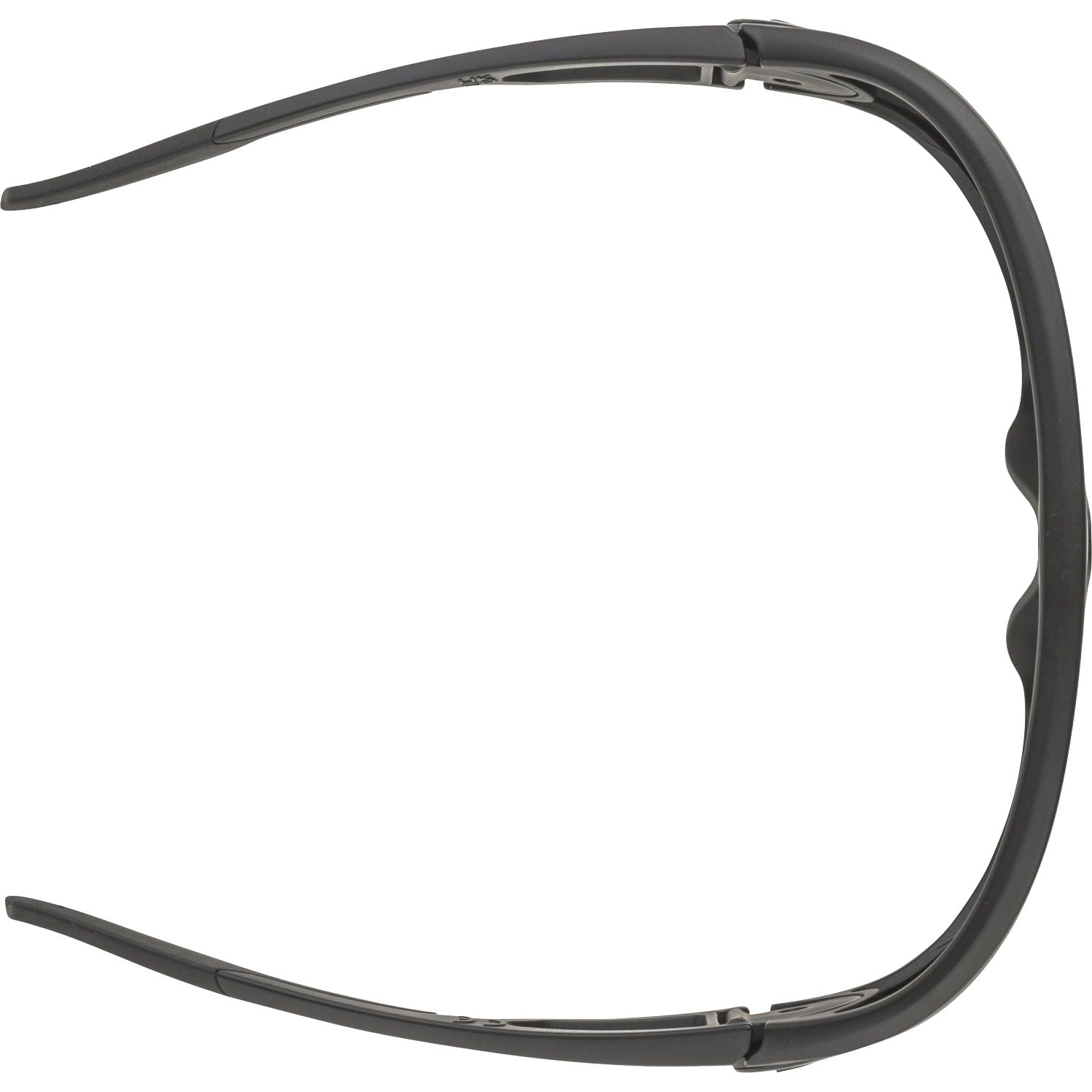 Alpina Legend Sonnenbrille mattschwarz