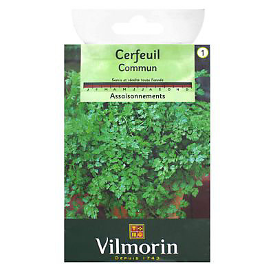 Graines de Cerfeuil Commun