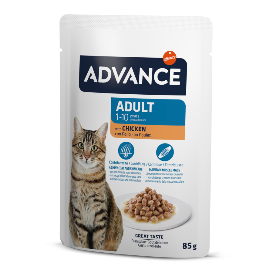 Sachê de 85g de petiscos Advance Adult com sabor de frango ao molho para gatos.