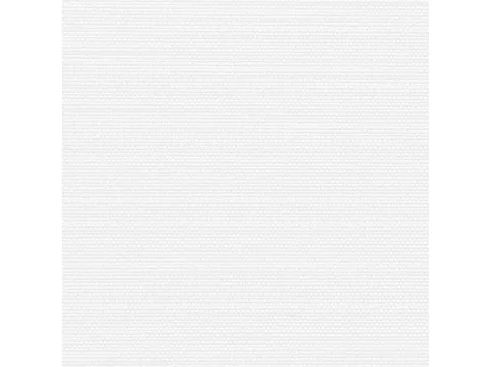 Auvent latéral rétractable blanc 160x1000 cm