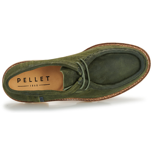 Pellet - MACHO - Velours oiled olive