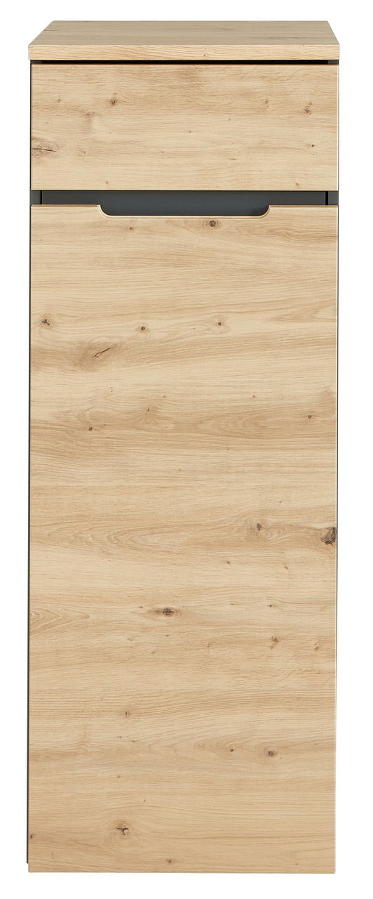Voleo Aktenschrank niedrig/schmal DETROIT