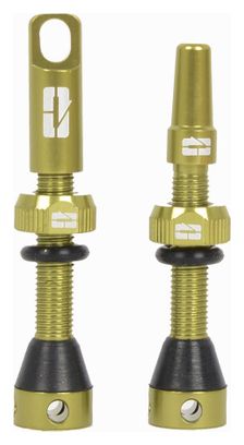 Paire de Valves Tubeless Progress PG-719 Presta 40mm Vert